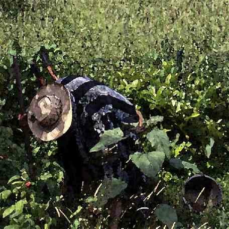 Jardinier en robe de chambre près du compost
