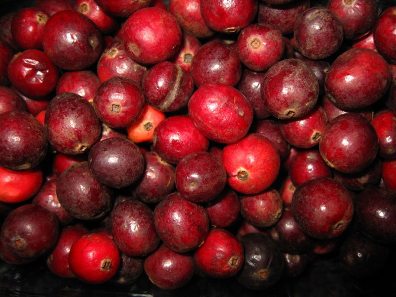 cranberries