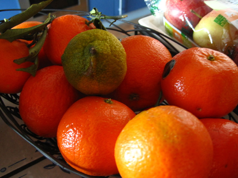 citrus