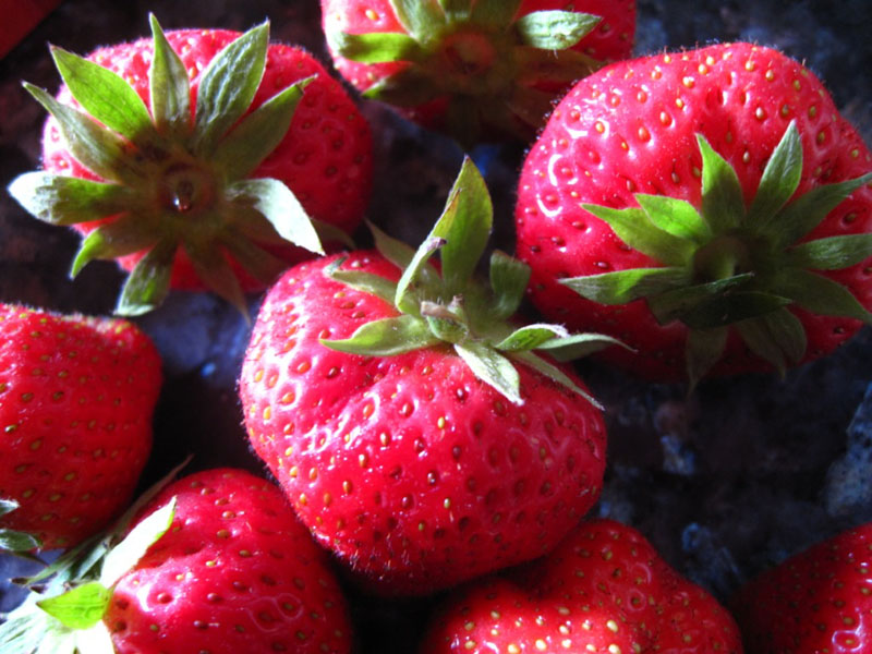 Fraises