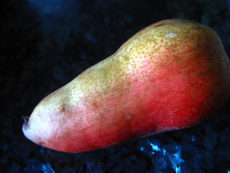 poire