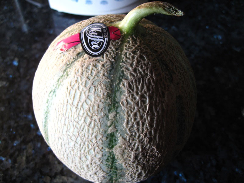 melon