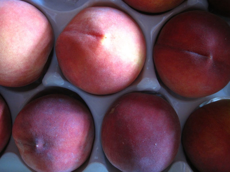 pêches