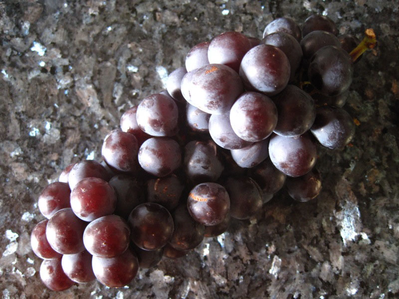 raisin
